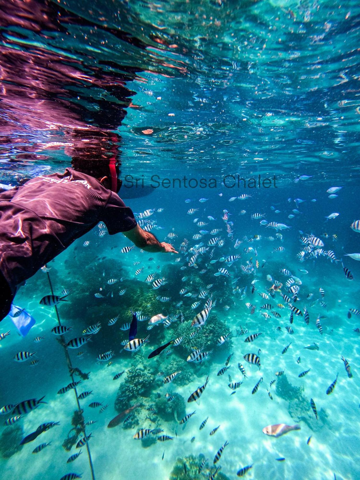 Sri Sentosa Chalet Kampong Mukut Dış mekan fotoğraf